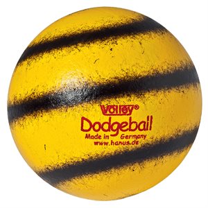 Volley® dodgeball