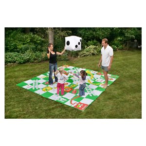Giant snakes and ladders game